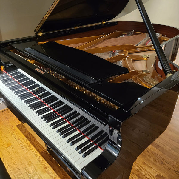 Seiler SE208 Polished Ebony