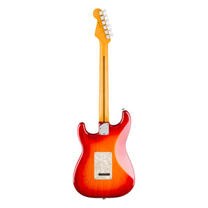 Fender American Professional Stratocaster, Aged Cherry Burst, Maple fingerboard, back