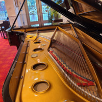 Seiler SE278 Polished Ebony
