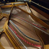 Seiler SE208 Polished Ebony