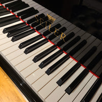 Seiler SE208 Polished Ebony