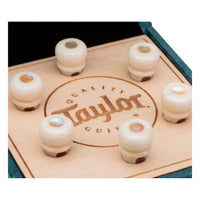 Taylor Custom Water Buffalo Bone Bridge Pins, White with Awabi Shell Inlay (Set of 6)