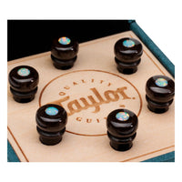 Taylor Custom Water Buffalo Bone Bridge Pins, Brown with White Opal Inlay (Set of 6)