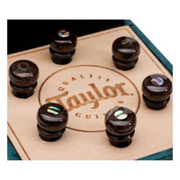 Taylor Custom Water Buffalo Bone Bridge Pins, Brown with Abalone Inlay (Set of 6)