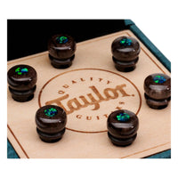 Taylor Custom Water Buffalo Bone Bridge Pins, Brown with Green Opal Inlay (Set of 6)