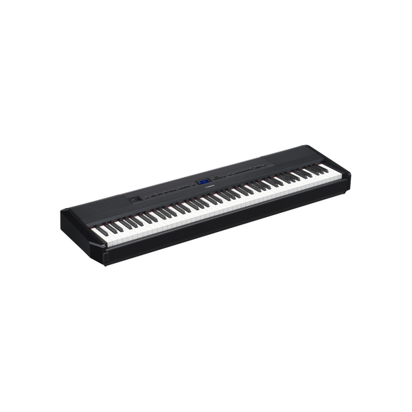 525_grande.png?v=1786905814