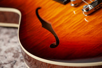 Collings I-35 LC Tobacco Sunburst, Throbak SLE-101 Plus #I35LC252524