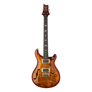 PRS DGT Semi-Hollow, Dark Cherry Sunburst, Birds inlays