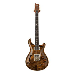 PRS DGT Semi-Hollow, Tiger Eye, Birds inlays