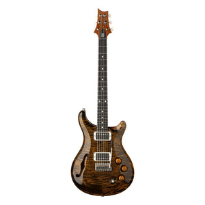 PRS DGT Semi-Hollow, Tiger Eye, Moons inlays