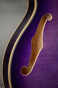 Duesenberg Guitars Starplayer TV Galaxy Purple Burst #251550