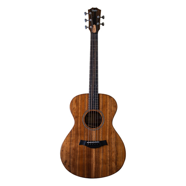 Taylor Jacob Collier Signature Model 5-String, Natural