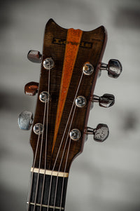 Bill Lewis Guitar