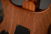 PRS 40th Anniversary Custom 24 Limited Edition Tiger Eye # 0394720