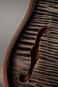 PRS DGT Semi-Hollow 10 Top Charcoal Burst Natural Back #0423129