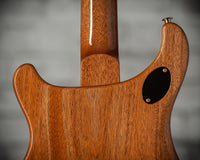 PRS McCarty 594 10-Top Flame Maple Yellow Tiger # 0396234