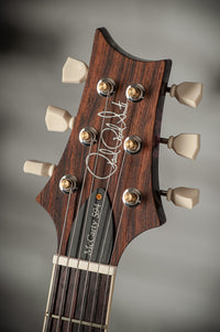PRS McCarty 594 Wood Library 10-Top Purple Iris, Stained Neck SN# 0346290