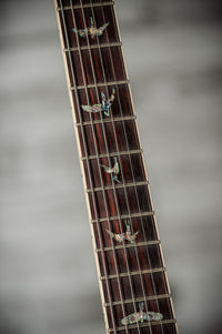 PRS McCarty 594 Wood Library 10-Top Purple Iris, Stained Neck SN# 0346290
