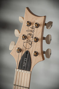 PRS NF53 Black Doghair #0401285