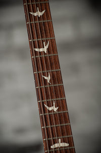 PRS S2 Custom 24, Elephant Grey SN# S2052087