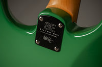 PRS SE Silver Sky Evergreen #CTID54290 Used