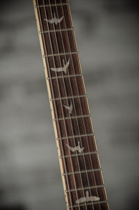 PRS SE Standard 24-08, Translucent Blue SN: CTID 59172 Demo