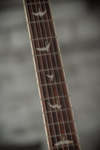PRS SE Zach Myers Signature Myers Blue #CTI E31282 Demo