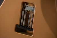 PRS Silver Sky, Golden Mesa #0349549