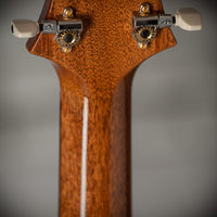 PRS Studio 22 10-Top Pattern Neck Yellow Tiger SN 0396221