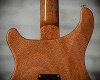 PRS Studio 22 10-Top Pattern Neck Yellow Tiger SN 0396221