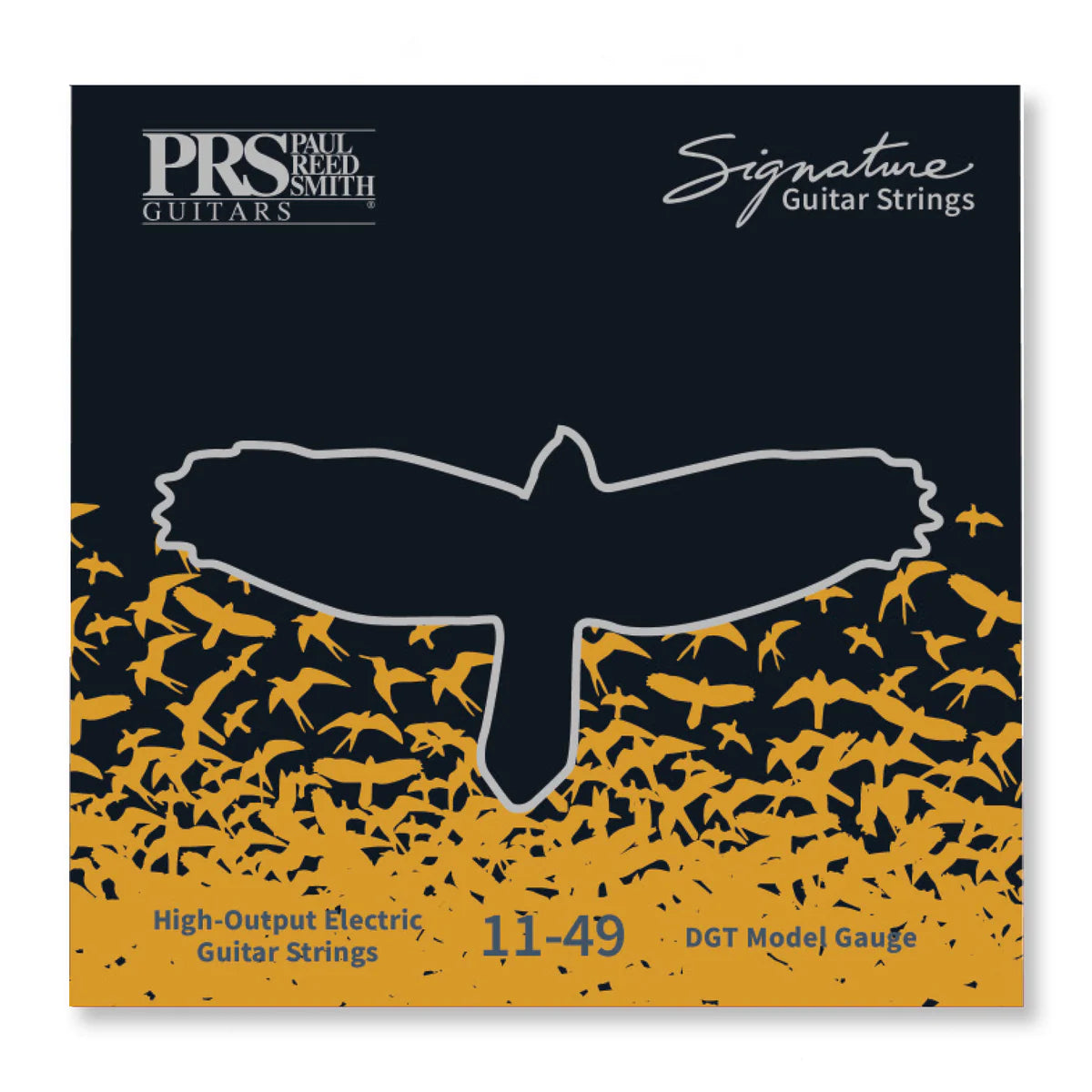 PRS Signature Guitar Strings David Grissom 011-049 Set