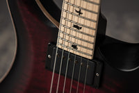 PRS Dustie Waring Floyd Waring Burst Satin SN# 0358153