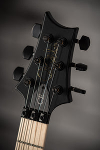 PRS Dustie Waring Floyd Waring Burst Satin SN# 0358153