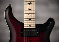 PRS Dustie Waring Floyd Waring Burst Satin SN# 0358153