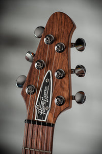Powers Electric A-Type Select Maple, Juniper Green, Delrin Saddle, FF42 pickups, CamTail #A895