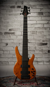 Status Empathy 6 String #126858 Used