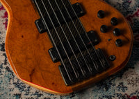 Status Empathy 6 String #126858 Used