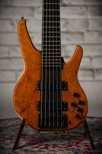 Status Empathy 6 String #126858 Used