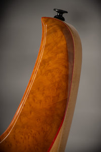 Status Empathy 6 String #126858 Used