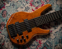 Status Empathy 6 String #126858 Used