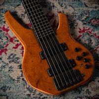 Status Empathy 6 String #126858 Used