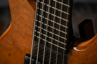 Status Empathy 6 String #126858 Used