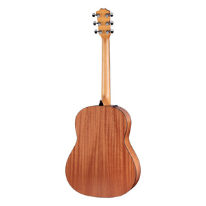 Taylor 117e, Natural