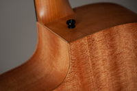Taylor 14ce #2206235317