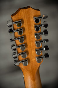 Taylor 150ce 12 String Dreadnaught #2205074490