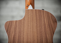 Taylor 214ce SN#2201235394