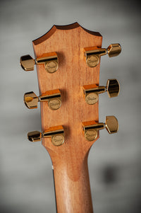 Taylor 222ce-K DLX #2209254254