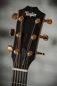 Taylor 222ce-K DLX #2209254254