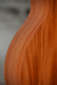 Taylor 24ce #2206095284
