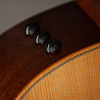 Taylor 314ce Studio Special Edition SN# 1202115030